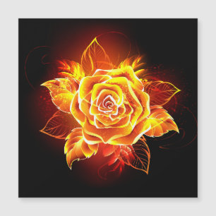 Blooming Fire Rose