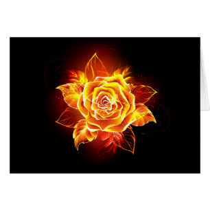 Blooming Fire Rose