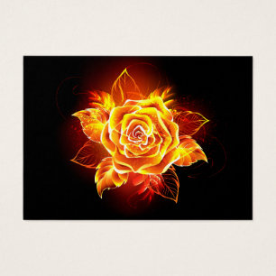 Blooming Fire Rose