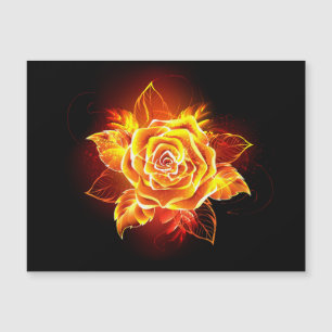 Blooming Fire Rose