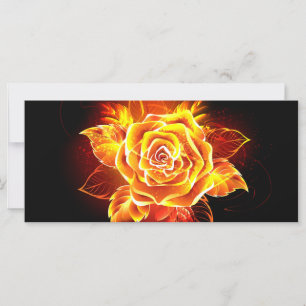 Blooming Fire Rose Card