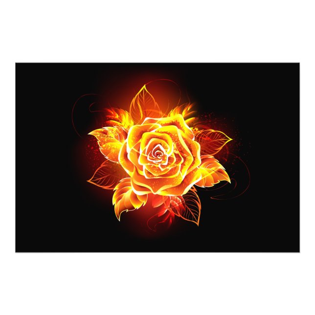Blooming Fire Rose Photo Print (Front)