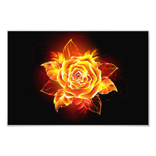 Blooming Fire Rose Photo Print (Front)