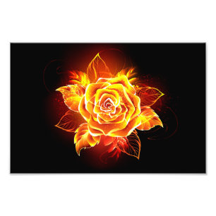 Blooming Fire Rose Photo Print
