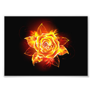 Blooming Fire Rose Photo Print