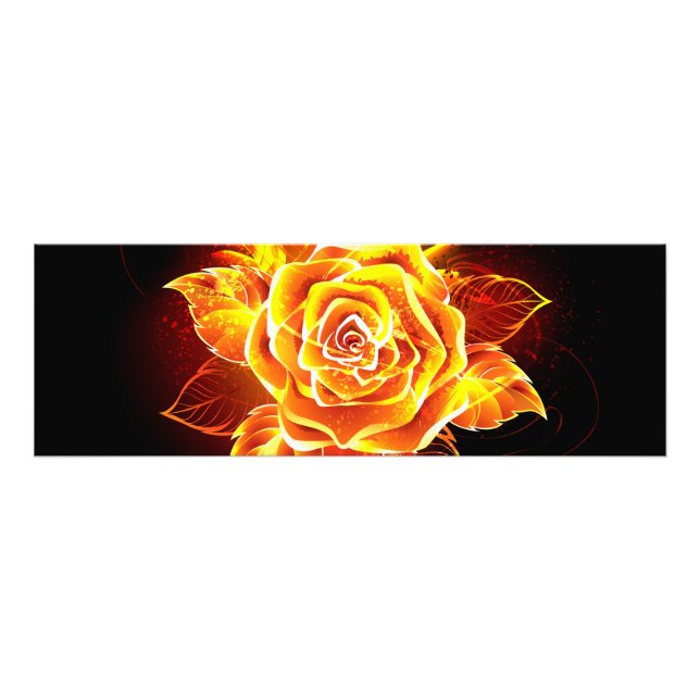 Blooming Fire Rose Photo Print (Front)
