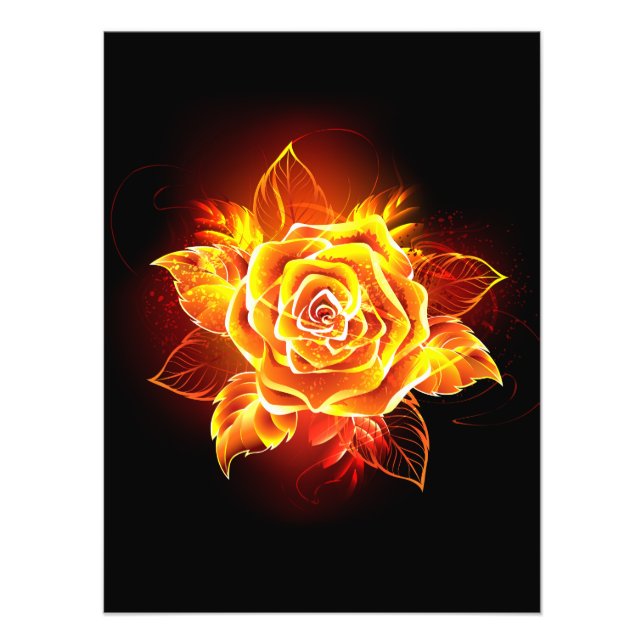 Blooming Fire Rose Photo Print (Front)