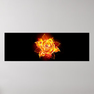 Blooming Fire Rose Poster