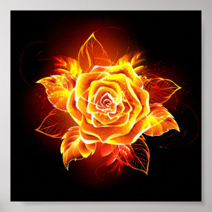 Blooming Fire Rose Poster