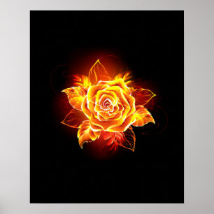 Blooming Fire Rose Poster