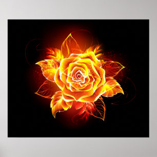 Blooming Fire Rose Poster