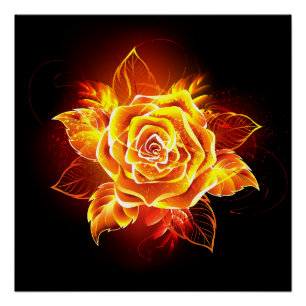 Blooming Fire Rose Poster