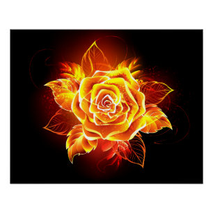 Blooming Fire Rose Poster