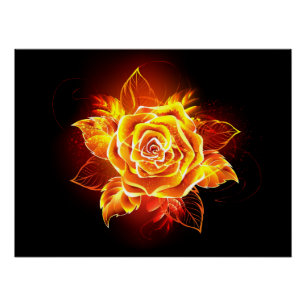Blooming Fire Rose Poster