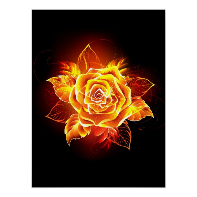 Blooming Fire Rose Poster (Front)