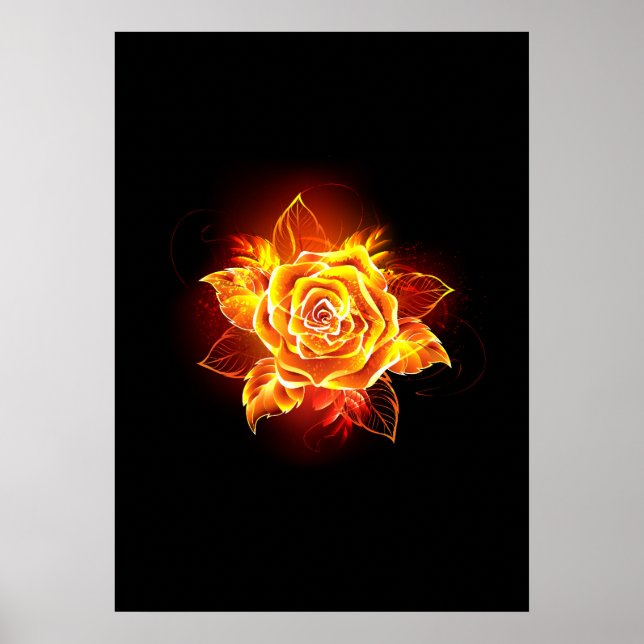 Blooming Fire Rose Poster (Front)