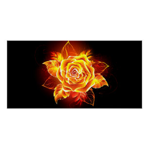 Blooming Fire Rose Poster