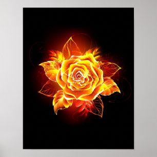 Blooming Fire Rose Poster