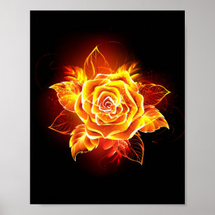 Blooming Fire Rose Poster
