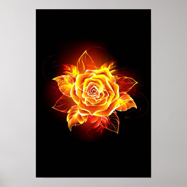 Blooming Fire Rose Poster (Front)