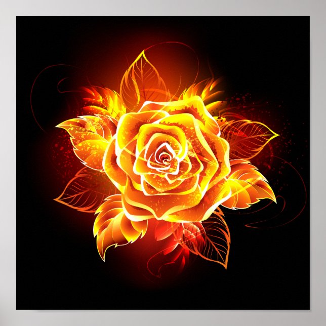 Blooming Fire Rose Poster (Front)