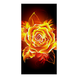 Blooming Fire Rose Poster