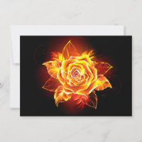 Blooming Fire Rose