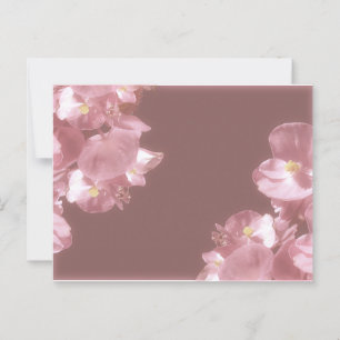 Blooming flowers borders decoration postcard