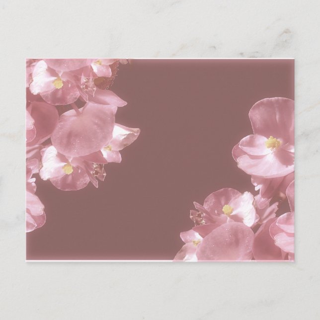 Blooming flowers borders decoration postcard (Front)