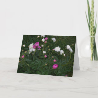 BLOOMING FLOWERS CARD