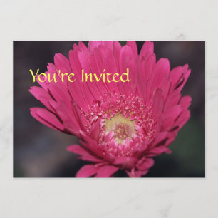Blooming Gerbera Invitation