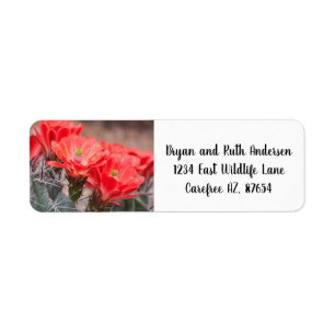 Blooming Hedgehog cactus Return Address Label