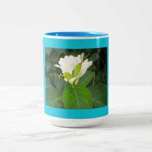 Blooming Honeysuckle Tree Two-Tone Coffee Mug