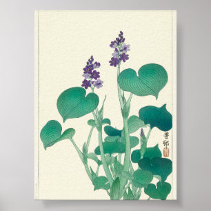 Blooming Hosta by Ohara Koson Poster