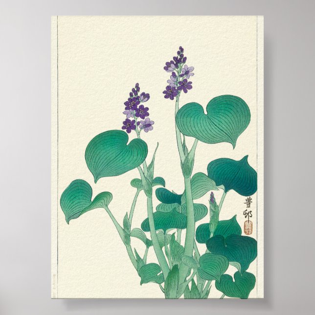 Blooming Hosta by Ohara Koson Poster (Front)
