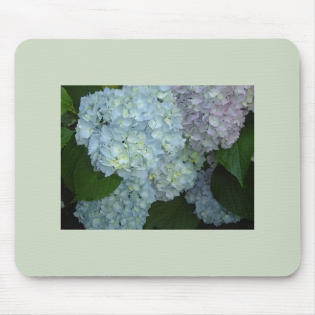 Blooming Hydrangeas mousepad (Front)