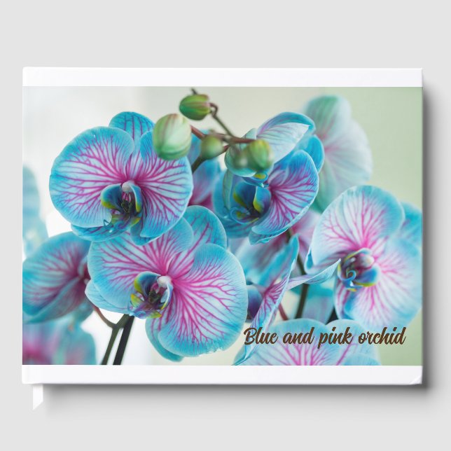 Blooming isolated on a white background guest book (Front)