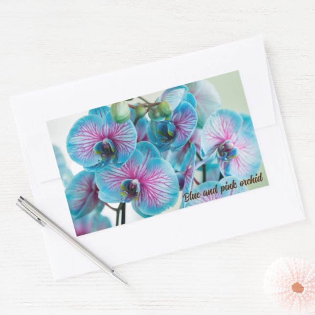 Blooming isolated on a white background rectangular sticker (Envelope)