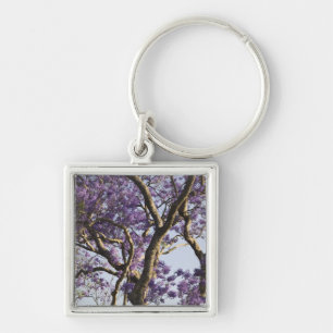 Blooming Jacaranda Trees in New Farm Park, Key Ring