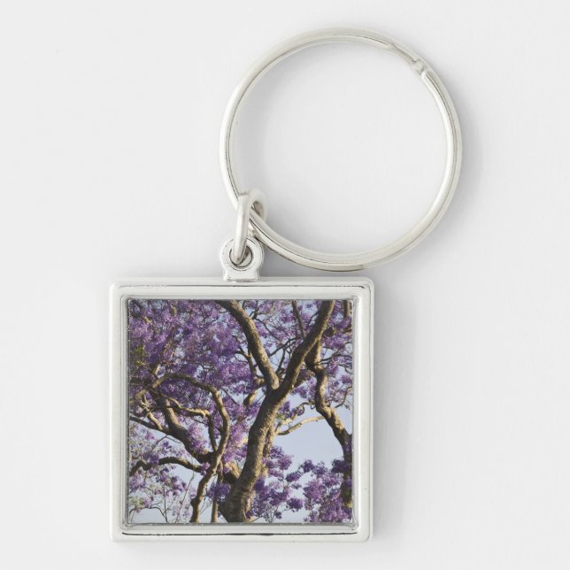 Blooming Jacaranda Trees in New Farm Park, Key Ring (Front)