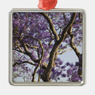 Blooming Jacaranda Trees in New Farm Park, Metal Tree Decoration