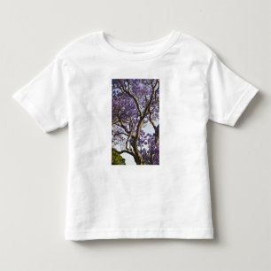 Blooming Jacaranda Trees in New Farm Park, Toddler T-Shirt