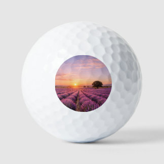 Blooming Lavender Field at Golden Sunset Provence Golf Balls
