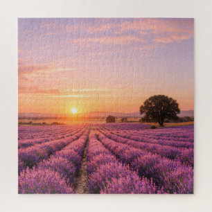 Blooming Lavender Field at Golden Sunset Provence Jigsaw Puzzle