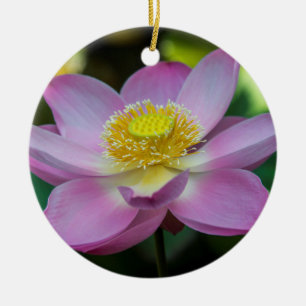 Blooming lotus flower, Indonesia Ceramic Ornament