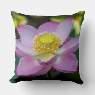 Blooming lotus flower, Indonesia Cushion