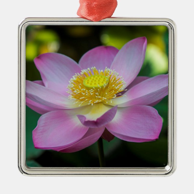 Blooming lotus flower, Indonesia Metal Tree Decoration (Front)