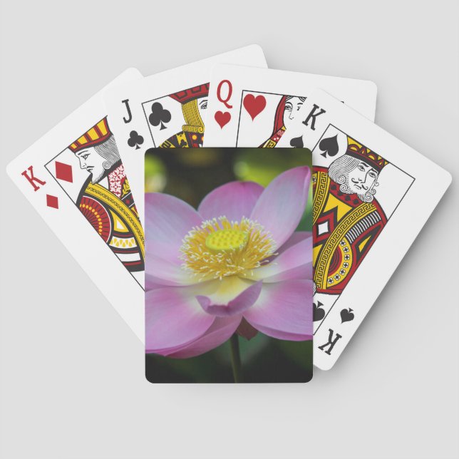 Blooming lotus flower, Indonesia Playing Cards (Back)