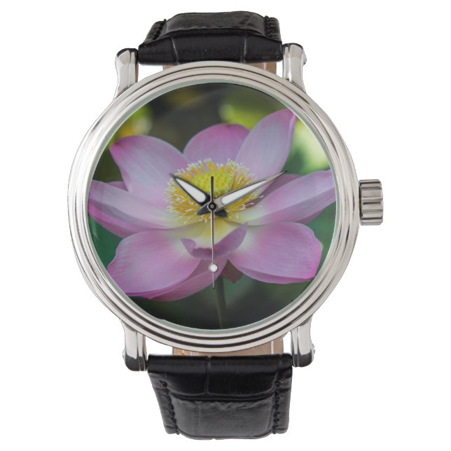 Blooming lotus flower, Indonesia Watch (Front)