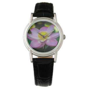 Blooming lotus flower, Indonesia Watch